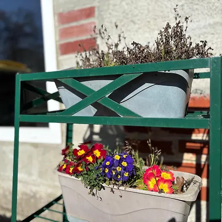 Lumineuse Spacieuse Dans Impasse Au Calme A Proximite D'un Chateau Deux Verandas Grand Jardin Pour Velos, Pres Port En Bessin Et Bayeux, Proche Plages Du Debarquement Nyaraló *
