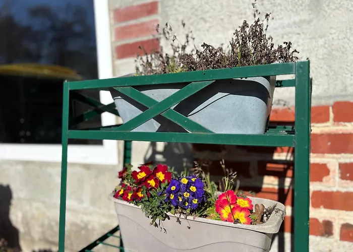 Lumineuse Spacieuse Dans Impasse Au Calme A Proximite D'un Chateau Deux Verandas Grand Jardin Pour Velos, Pres Port En Bessin Et Bayeux, Proche Plages Du Debarquement Semesterbostad *